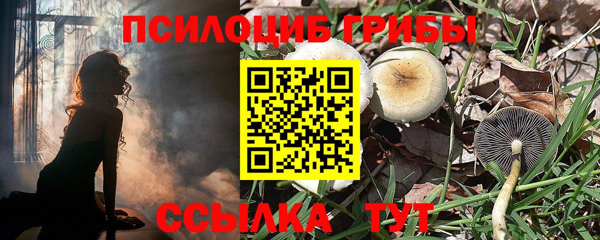 Галлюциногенные грибы Cubensis  Вход с VPN  Ялуторовск 